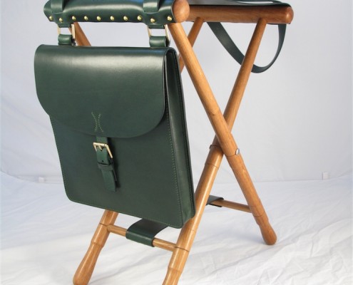 Carry Seat with bag - Green